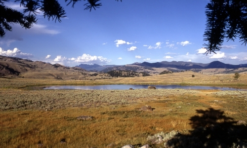 Yellowstone Lamar Valley