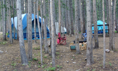 Yellowstone National Park Campgrounds Camping Canyon Campground