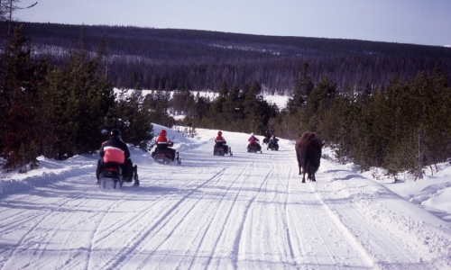Yellowstone Snowmobile Tours
