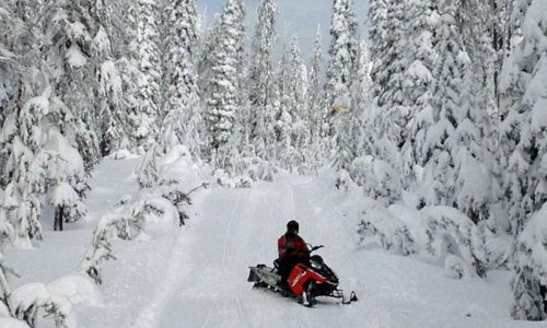 Yellowstone Snowmobiling