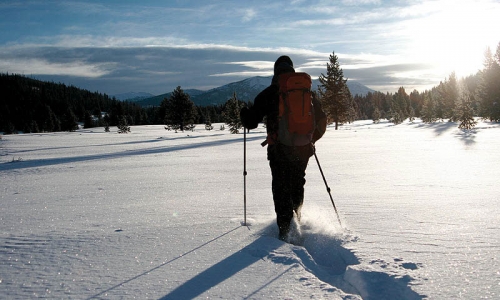 Snowshoeing Winter Yellowstone National Park Bighorn Pass Trail Wyoming