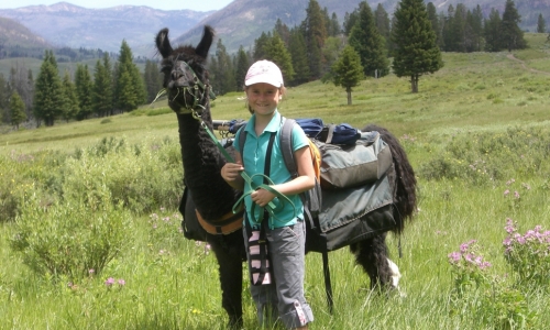 Yellowstone Park Tours Llama Trekking