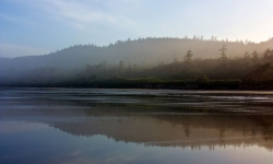Kalaloch Beach in Olympic National Park Kalaloch Beach in Olympic National Park