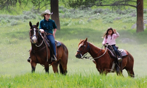 Yellowstone National Park Horseback Riding