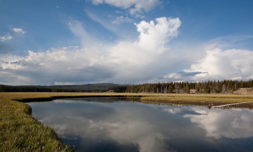 Pelican Creek Yellowstone Hiking