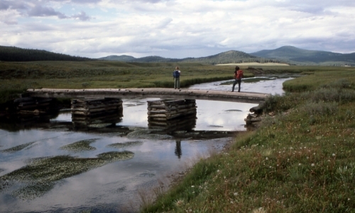 Yellowstone Day Hikes Pelican Valley