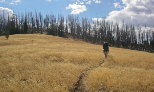 Yellowstone Day Hiking