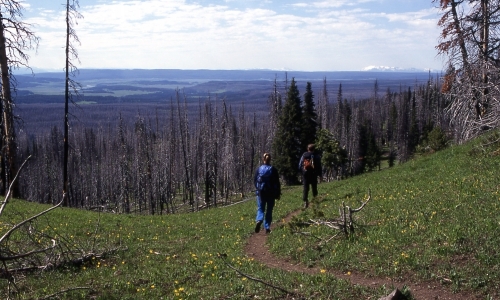 Yellowstone Hikes