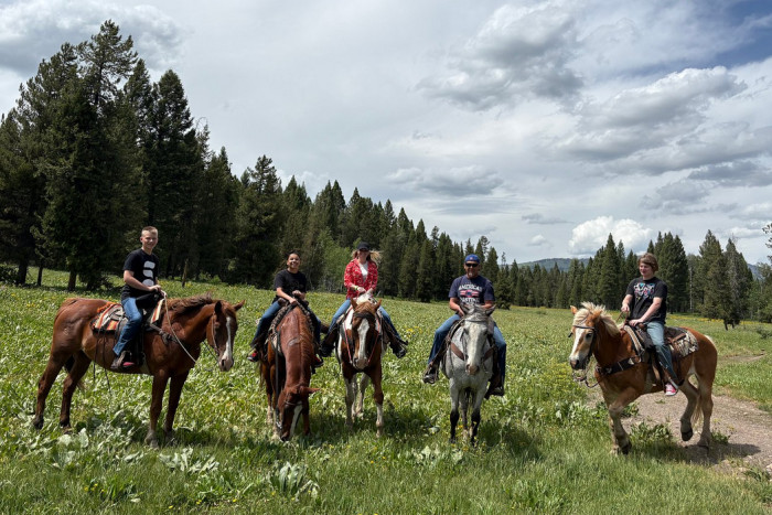 Yellowstone Horses - Halo Ranch Outfitters — , 