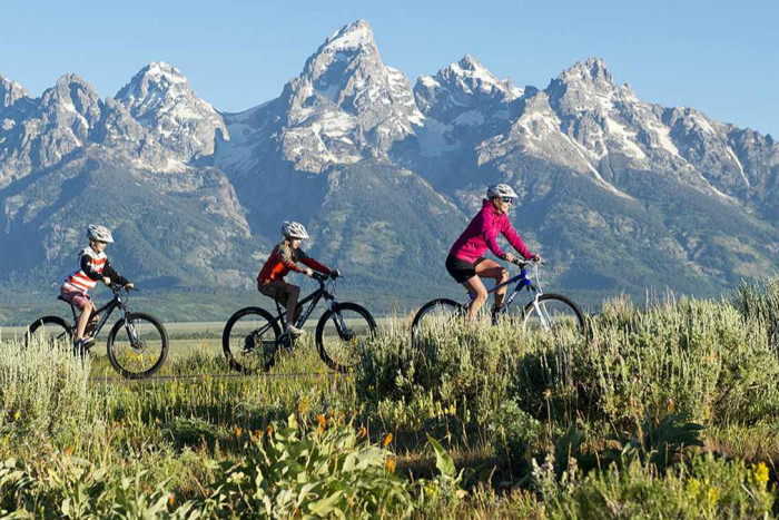 Teton Mountain Bike Tours — , 