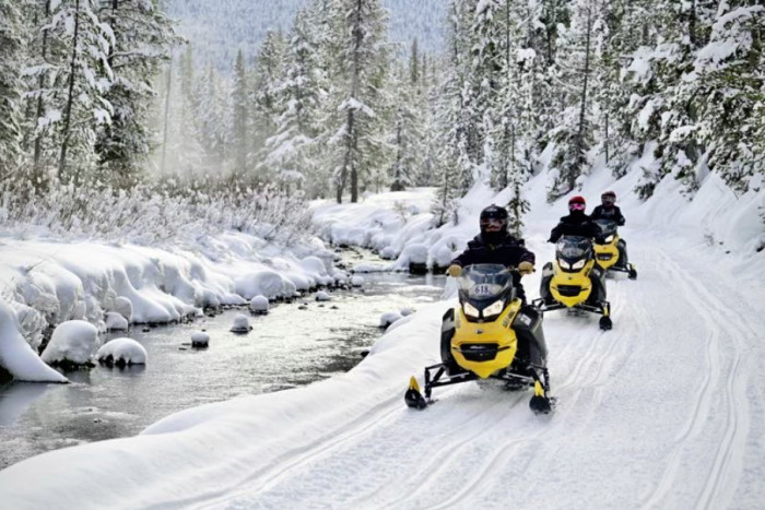See Yellowstone Tours — West Yellowstone, MT