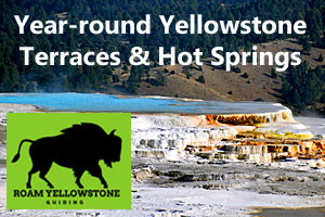 Roam Yellowstone Guiding - Mammoth Trips
