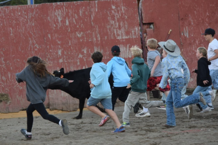 Wild West Yellowstone Rodeo — West Yellowstone, MT