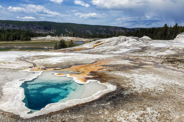 American West Tours — Jackson, WY