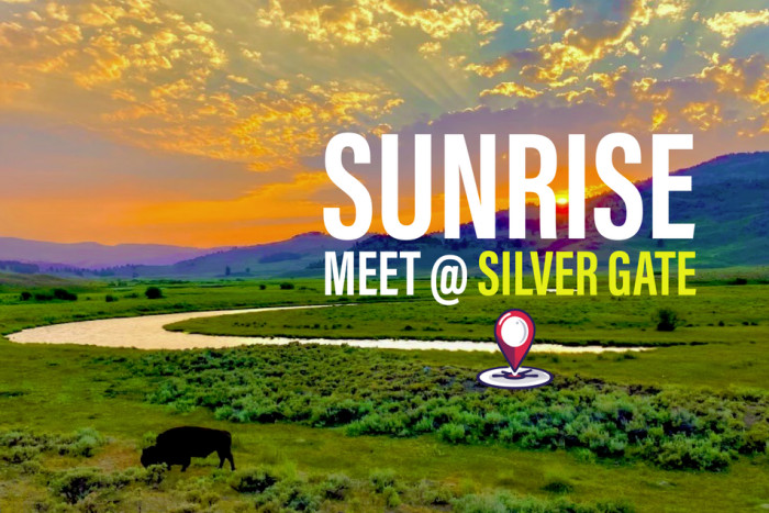 Silver Gate Guides — , 