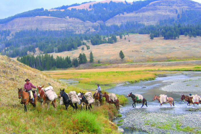 Yellowstone Mountain Guides — West Yellowstone, MT