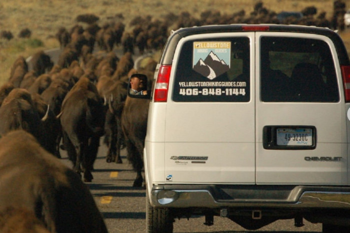 Yellowstone Hiking Guides — West Yellowstone, MT