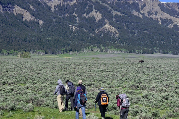 Yellowstone Hiking Guides — , 