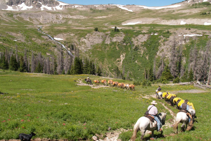 Yellowstone Outfitters — Moran, WY