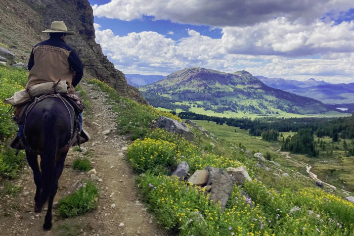 Yellowstone Horse and Mule — Absarokee, MT
