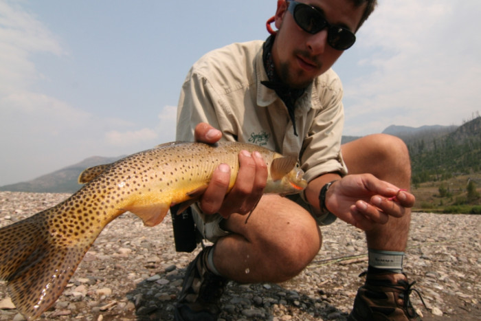 Yellowstone Mountain Guides — West Yellowstone, MT