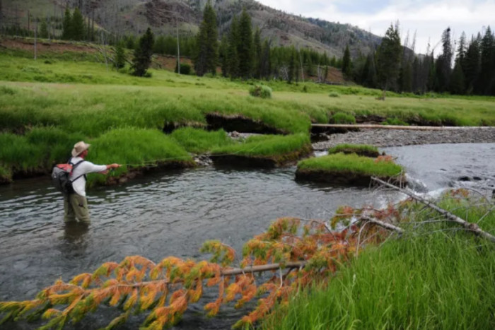 Greater Yellowstone Fly Fishers — , 