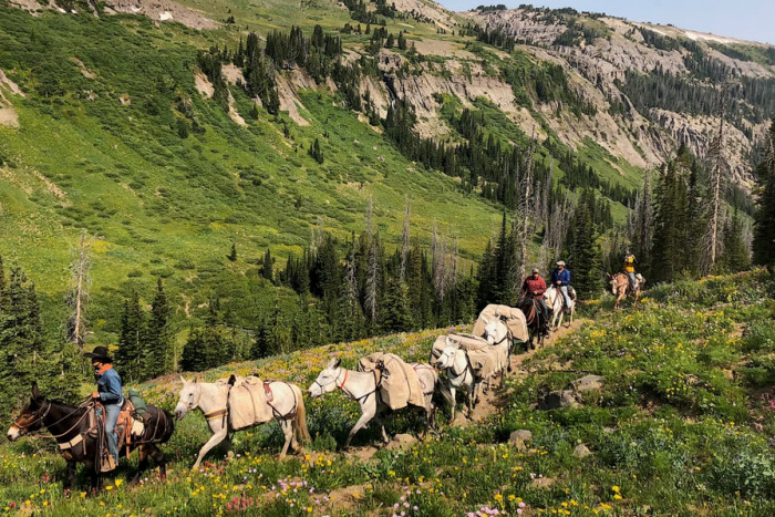 GYFO - Greater Yellowstone Fly Fishers — Bozeman, MT