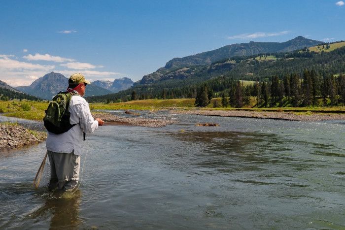 GYFO - Greater Yellowstone Fly Fishers — , 