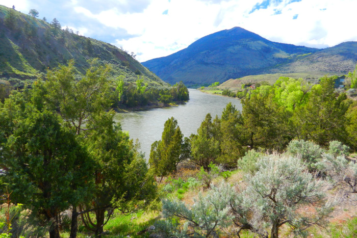 Grizzly Den Cabin and North Yellowstone Lodge — Gardiner, MT