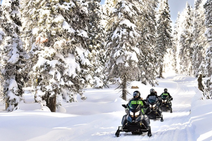 See Yellowstone Tours — West Yellowstone, MT