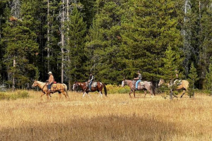 Trail Riding Inside Yellowstone Park this Fall