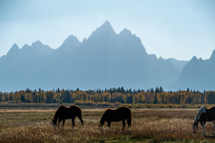Fireside Buffalo Valley RV Resort — , 