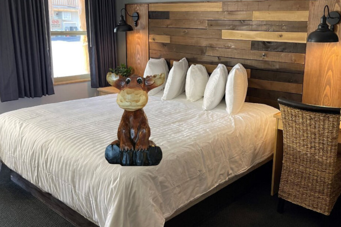 Moose Creek Lodge And Suites — , 