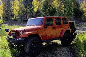 Instead of a car, how about renting a Jeep