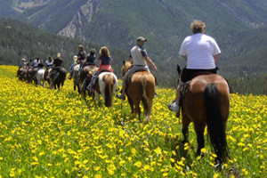 Wild West | Horseback & Cowboy BBQ Dinner Combo