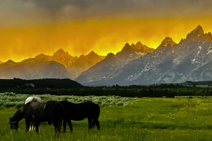 Triangle X Ranch — Moose, WY
