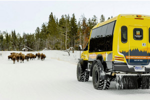 Explorer Cabins and Winter Activity Packages