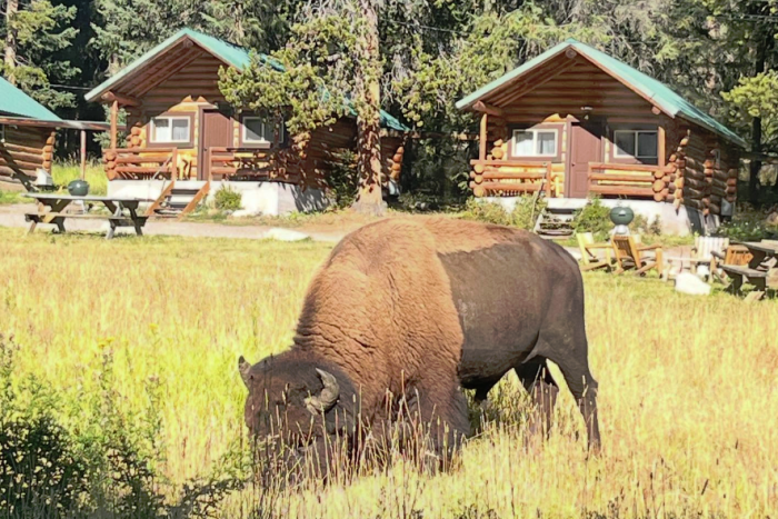 Pine Edge Cabins — Silver Gate, MT
