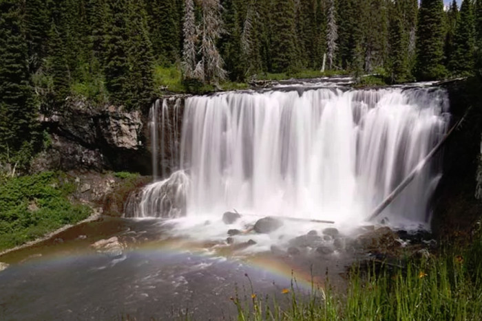 Wildland Trekking Company — Yellowstone NP, WY