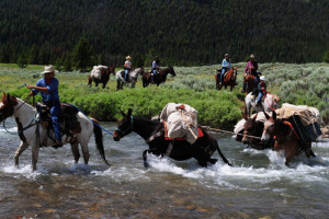 Sunrise Pack Station - guided park pack trips