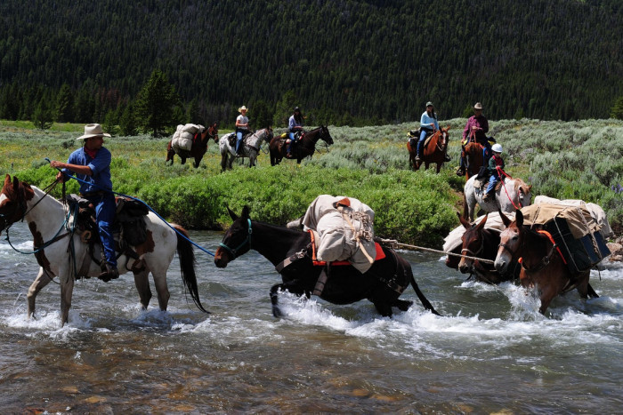 Sunrise Pack Station — Yellowstone Park, MT
