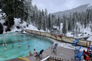 Jackson Hole Iditarod Sled Dog Tours