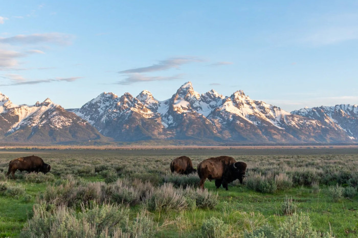 Teton Wilderness Tours LLC — , 