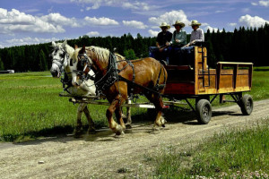 Creekside Wagon Rides - kids & adults
