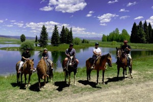 Creekside Trail Rides - 1 hour just $60