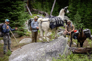Pioneer Outfitters | Backcountry Pack Trips