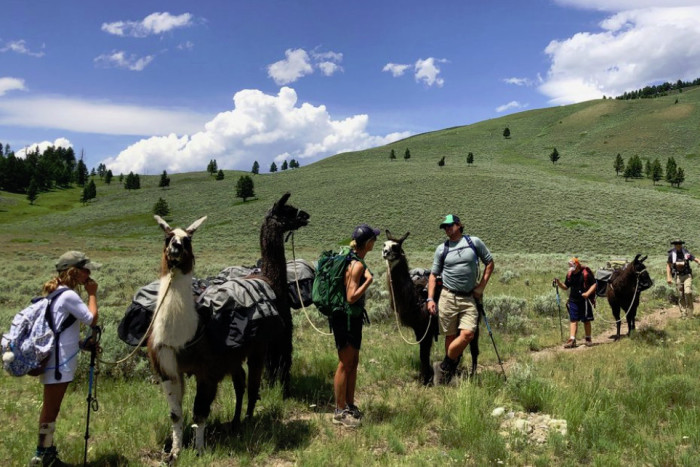 Pioneer Outfitters — nDivide, MT