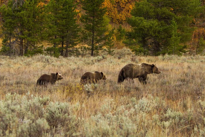 EcoTour Adventures — , 