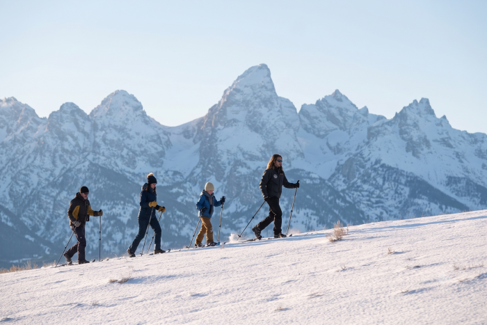EcoTour Adventures — , 