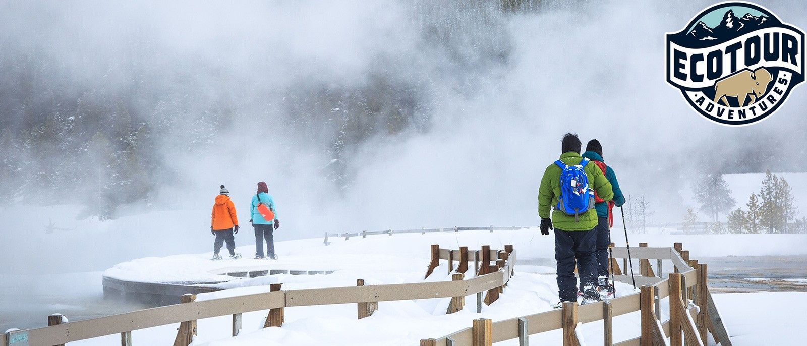 Jackson Hole Wildlife Tours Jackson Hole Eco Tour Adventures offers a variety of wildlife viewing in the Jackson Hole, Grand Teton, and Yellowstone Ecosystems. Eco Tour Adventures focuses on creating a sustainable touring business to help protect the wild nature of our environment.
